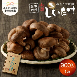 �y�ӂ邳�Ɣ[�Łz �s���ʌ���t ���������� �������� �ő� ���� ���؍͔| �������� �|�� �Ïk ���� 1���i900g�j �������� �R���� ��쌴�s