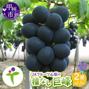 yӂ邳Ɣ[Łz  Ȃ 2026N s\ 2[ 1.1kg Iׂ N 2025N bBsY JAt[cR ʕ t[c uhE Â 傫  lC R bBs Ԍ ʌ 