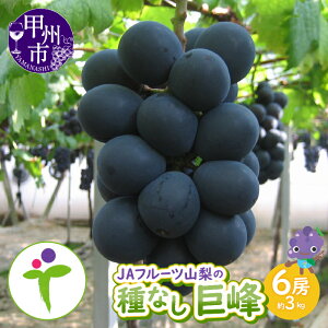 yӂ邳Ɣ[Łz  Ȃ 2026N s\ 6[ 3kg Iׂ N 2025N ʕ  t[c  Ԃǂ uhE Â 傫 lC JAt[cR bBs  VN 8`9 