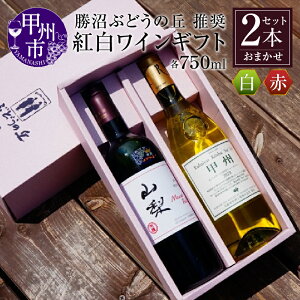 【ふるさと納税】 ワイン 赤ワイン 白ワイン ギフト セット 2本 贈答 プレゼント 記念日 お祝い 父の日 母の日 バレンタイン クリスマス のし対応 お中元 お歳暮 飲み比べ お正月 誕生日 贈答