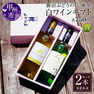 yӂ邳Ɣ[Łz C C Ԃǂ̋u  750ml  Ε lΉ ̂ 蕨 1{ ̓ ̓ LO Mtg ܂ R bBs yC-658z