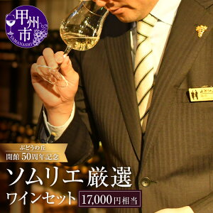 yӂ邳Ɣ[Łz C 17,000~ \G ZNg I Ԃǂ̋u {C bBC    [ IW Xp[NO  y ̓ ̓ LO 
