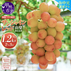 yӂ邳Ɣ[Łz TVCbh 2026N s\ 1.2kgȏ 6 7 8  2`3[ R  VN Yn t[c Ԃǂ   炲 Ȃ N[ ① Mtg 