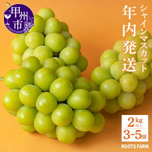 yӂ邳Ɣ[Łz s2025Nt VC}XJbg ቷ 2`5[ Iׂe 1kgȏ 2kgȏ 10{`12{ R bBsY Ԍ ʌ VC }XJbg  