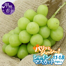 【ふるさと納税】 シャインマスカット 2027年 先行予約 選べる内容量 1.1kg以上 1.8kg以上 2〜4房 果物 甲州市産 8月 9月 10月 発送 葡萄 ぶどう ブドウ フルーツ 山梨 甘い ジューシー 大きい 人気 社員マスカット 山梨県 甲州市 （TMK）