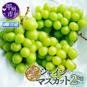 yӂ邳Ɣ[Łz VC}XJbg 2026N s\ Iׂ N e z@ 1.2kgȏ`2kgȏ 2`5[ 2025N 퉷 ① ʕ  t[c Ԃǂ  Ԍ 8`10  