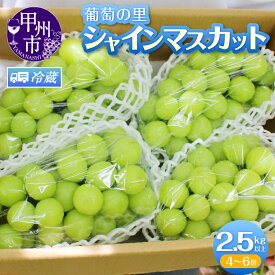 【ふるさと納税】 シャインマスカット 2026年 先行予約 選べる内容量 1kg以上 約2kg 2.5kg以上 2〜6房 8月 9月 10月 発送 ぶどう 葡萄 ブドウ 果物 くだもの フルーツ 農家直送 朝採れ 山梨県 数量限定 人気 種無し 山梨 産地直送 農家 果実 贈答 ギフト 家庭用 （HK）