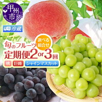 【2回or3回から選べる】旬のフルーツ定期便！（桃・巨峰・シャインマスカット）