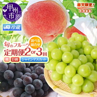 【ふるさと納税】 ＼高評価★4.54／フルーツ 定期便 2026年 楽天限...