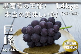 【ふるさと納税】 ぶどう 巨峰 約1.4kg 2房～4房 黒ブドウ 甲州市 果物 フルーツ 濃厚 甘い 酸味 種無し 期間限定 数量限定 9月上旬より発送 【2024年発送】(ASF) 【B-146】