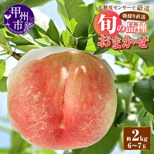 �y�ӂ邳�Ɣ[�Łz �� 2026�N ��s�\�� ��2kg 6�`7�� �ʕ� ���� �t���[�c �ʎ� 7�� 8�� ���� ��� ���̂� ���� ���I �l�C �V�N �i�킨�܂��� ���Ԍ��� ���ʌ��� �M�t�g ���� �ƒ�p �R���� �b�B�s 