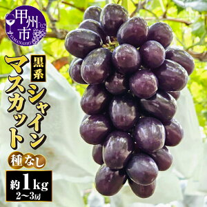 yӂ邳Ɣ[Łz VC}XJbg 1kg 2[`3[ ʕ t[c Ԃǂ  n }XJbgm[ xm̋P 햳 ̂ Yn 2025N  ŐV i Ԍ ʌ 