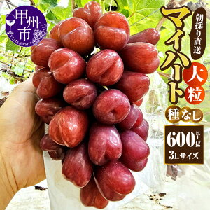yӂ邳Ɣ[Łz }Cn[g Ԃǂ 햳 嗱 600gȏ 3LTCY 1[ ʕ t[c  ԂԂǂ VC}XJbgn Â ̂ Yn 2025N 10  Ԍ ʌ 