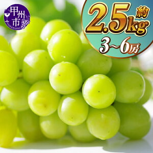 �y�ӂ邳�Ɣ[�Łz 2026�N ��s�\�� �V���C���}�X�J�b�g �I�ׂ���e�� ��500g ��1.2kg ��2.5kg 1�`6�[ �ʕ� �������� �t���[�c �{ 8�� 9�� 10�� ���� �l�C �V�N �Y�n���� �Y�� �}�X�J�b�g ���� �Ԃǂ� 2