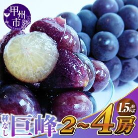 【ふるさと納税】 巨峰 約1.5kg 2房〜4房 選べる 発送年度 2026年 2027年 発送 黒ぶどう 果物 フルーツ ぶどう ブドウ 葡萄 甲州市産 朝穫り 新鮮 くだもの 産地直送 産直 本場 おすすめ 果実 予約 贈答 ギフト 家庭用 山梨県 甲州市 黒系 果汁 露地栽培 （KSF） 【B12-461】