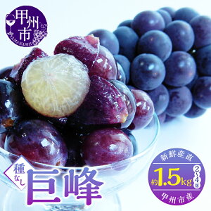 yӂ邳Ɣ[Łz r[Ly[{  2026N s\ ʕ 1.5kg 2[`4[ Iׂ N Ȃ t[c uhE  bBsY n VN uhE Ԃǂ  2025N 