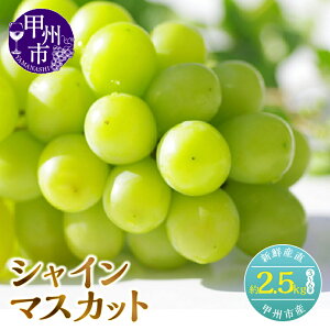 yӂ邳Ɣ[Łz VC}XJbg yV ݌Ɍ 2026N s\ ʕ Iׂ e N 1.2kg 2.5kg 2`6[ lC VN Y 2025N  t[c  Ԃǂ Yn Â 