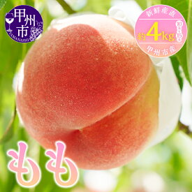 【ふるさと納税】 桃 2026年 先行予約 もも フルーツ 楽天限定 選べる 800g以上 約2kg 約3kg 約4kg 3〜15玉 山梨 甲州市 6月 7月 8月 発送 果物 朝どれ 産地直送 白鳳系 白桃系 期間限定 数量限定 まずはお試し 食べきり 一人暮らし 一人分 5000円 （KSF）