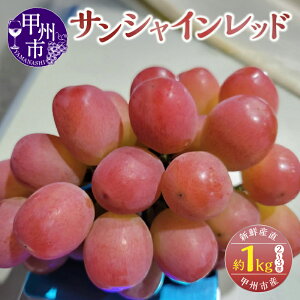 �y�ӂ邳�Ɣ[�Łz �T���V���C�����b�h 2026�N ��s�\�� ��1kg 2�`3�[ �ʕ� �t���[�c �Ԃǂ� �u�h�E �Ԍn ���Ԍ��� ���ʌ��� �V�N �Y�� �Y�n���� 8�� 9�� 10�� ���� �M�t�g ���� �ƒ�p �R���� �b�B