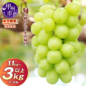 【ふるさと納税】 2026年 先行予約 楽天限定 1.1kg 2kg 3kg シャインマスカット 8月 9月 10月 選べる 1.1〜3kg以上 2〜6房 フルーツ 果物 山梨 甲州市 旬 採れたて 期間限定 ぶどう 新鮮 くだもの ふるさと納税 ランキング ギフト （HO）