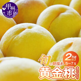 【ふるさと納税】 黄金桃 2026年発送 先行予約 2kg以上 5玉〜7玉 果物 もも 7月 8月 発送 産地直送 新鮮 大玉 フルーツ 朝どれ 旬 夏 おいしい 数量限定 期間限定 家庭用 ギフト 贈答 プレゼント 山梨県 甲州市 （HO） 【B12-151】
