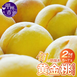 �y�ӂ邳�Ɣ[�Łz ������ 2026�N���� ��s�\�� 2kg�ȏ� 5�ʁ`7�� �ʕ� ���� 7�� 8�� ���� �Y�n���� �V�N ��� �t���[�c ���ǂ� �{ �� �������� ���ʌ��� ���Ԍ��� �ƒ�p �M�t�g ���� �v���[���g 