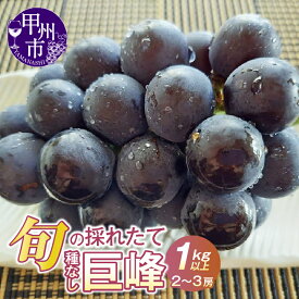 【ふるさと納税】＼レビューキャンペーン実施中／ 巨峰 種無し 2026年 先行予約 1.0kg以上 2〜3房 黒系 葡萄 ぶどう 甘い 大きい フルーツ 人気 黒ブドウ 果物 冷蔵 クール 山梨県 産地直送 甲州市 期間限定 数量限定 おすすめ 贈答 ギフト 8月 9月 発送 （HO） 【B12-148】