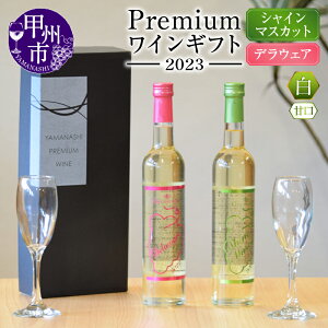 yӂ邳Ɣ[Łz C  500ml 2{ C VC}XJbgC fEFAC 2023 Premium CMtg R ʌ LO ̓ ̓ R bBs Mtg  v[