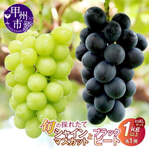 �y�ӂ邳�Ɣ[�Łz �������Z�b�g 2026�N ��s�\�� 4�� �I�ׂ�g�ݍ��킹 1kg�ȏ� �e1�[ �V���C���}�X�J�b�g ���Ԃǂ� ���� ���� �u���b�N�r�[�g BK�V�[�h���X �{ �ʕ� �t���[�c ���� �햳�� ����