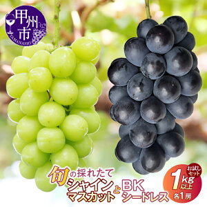 �y�ӂ邳�Ɣ[�Łz �������Z�b�g 2026�N ��s�\�� 4�� �I�ׂ�g�ݍ��킹 1kg�ȏ� �e1�[ �V���C���}�X�J�b�g ���Ԃǂ� ���� ���� �u���b�N�r�[�g BK�V�[�h���X �{ �ʕ� �t���[�c ���� �햳�� ����