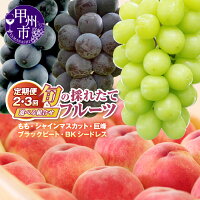 【ふるさと納税】 ＼2025年分は8/7まで／ フルーツ 定期便 2026...