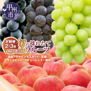 高評価★満足度95.9％ フルーツ 定期便 シャインマス...