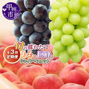 yӂ邳Ɣ[Łz r[Ly[{ t[c  2026N  s\ VC}XJbg  Ԃǂ  2 3  ubNr[g BKV[hX ʕ  VN ӂ