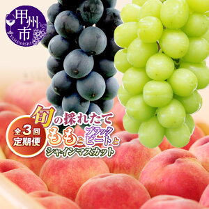 yӂ邳Ɣ[Łz r[Ly[{ t[c  2026N  s\ VC}XJbg  Ԃǂ  Iׂ g 2`3  ubNr[g BKV[hX ʕ 