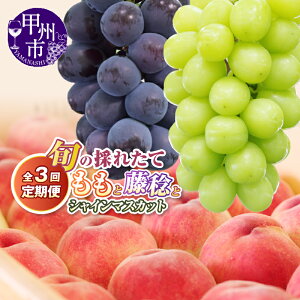 �y�ӂ邳�Ɣ[�Łz 2026�N ��s�\�� �t���[�c ����� �V���C���}�X�J�b�g �� �Ԃǂ� ������ �I�ׂ� �� �g�ݍ��킹 2�� 3�� ���� �u���b�N�r�[�g BK�V�[�h���X ���� �ʕ� ������ �V�N �ӂ邳��