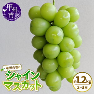 yӂ邳Ɣ[Łz 2026N VC}XJbg 1kg 1.2kg 1.5kg 2`4[ s\ 8 9 10  ʕ  Ԃǂ uhE t[c bBsY ʎ VN { lC ʌ Ԍ R b
