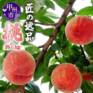 【ふるさと納税】 桃 2026年発送 約2kg 5〜8玉入り 匠の逸品 期間限定 数量限定 フルーツ 果物 果実 白鳳系 白桃系 甲州市産 厳選 新鮮 旬 おすすめ ピーチ 贈答 ギフト 家庭用 山梨県 甲州市 (N