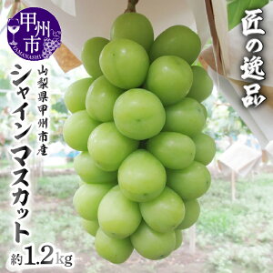 yӂ邳Ɣ[Łz VC}XJbg 2026N 1.2kg 2`3[ Ԍ ʌ t[c ʕ ʎ Ԃǂ  VC }XJbg bBsY I VN {   Mtg 