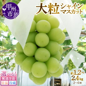 【ふるさと納税】 シャインマスカット 選べる 発送年度 2026年 2027年 内容量 約1.2kg 約2.4kg 2〜6房 配送方法 常温 冷蔵 果物 ふるさと納税 フルーツ 8月 9月 10月 発送 マスカット ぶどう 葡萄 くだもの 人気 フルーツ ふるさと 山梨 甲州市産 贈答 ギフト （MG）