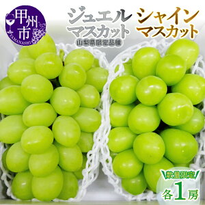 yӂ邳Ɣ[Łz WG}XJbg VC}XJbg 2026N s\ Iׂ N 2[ 1.3kg Hה Zbg 2025N ʌ ʕ 8 9  R Yn t[c  Ԃǂ 