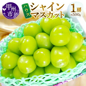 yӂ邳Ɣ[Łz  nEX VC}XJbg 2026N s\ 500g 1[  z\ 6  RY bBsY ʕ Yn t[c  Â 傫 ʎ lC VN  Mt