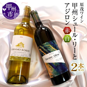 yӂ邳Ɣ[Łz C ԃC C 2{ Zbg ΃C bB V[E[ AW 750ml×2{ {C bBC n  Cg{fB h ̓ ̓ LO M