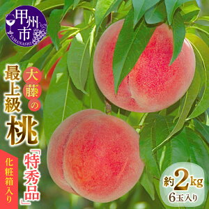 yӂ邳Ɣ[Łz  2026N s\ 2kg 6 Gi ϔ ߎZT[I bBsY ʕ t[c 員̓  Pn n Ԍ ʌ 7`8  Mtg  
