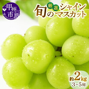 yӂ邳Ɣ[Łz VC}XJbg 2026N s\ Iׂ e N 1kg`2kg 2`5[ 2025N ʕ R bBsY I 8`10  Ԍ {  t[c  Ԃǂ 
