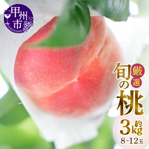 yӂ邳Ɣ[Łz  2026N s\ Iׂ e 1kg`3kg 3`12 I {  t[c ʕ Pn n Ԍ ʌ 7`8  R bBsY ƒp Mtg  R 