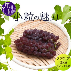 【ふるさと納税】 ぶどう 2kg 12～17房 デラウェア 2L～L 山梨県 種無し 甲州市産 大人気 フルーツ 果物 葡萄 期間限定 数量限定 贈答 ギフト 家庭用 7月 8月 発送 【2024年発送】 （MG） 【B11-801】