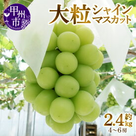 【ふるさと納税】 2026年 先行予約 シャインマスカット 選べる内容量 約1.2kg 約2.4kg 2〜6房 配送方法 常温 冷蔵 果物 フルーツ 期間限定 8月 9月 10月 発送 マスカット ぶどう 葡萄 くだもの 人気 おすすめ 2026 予約 山梨 甲州市産 贈答 家庭用 社員マスカット （MG）