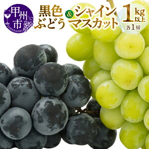 yӂ邳Ɣ[Łz VC}XJbg Ԃǂ s\ 2026N ʕ n 2[ 1kgȏ 8{蔭 Ԍ { t[c  Â 傫 ʎ lC RY VN p Mtg R