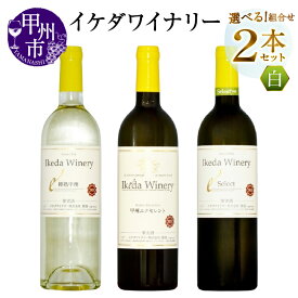 【ふるさと納税】 ワイン 白 選べる お届け内容 組合せ 2本 セット 750ml イケダワイナリー 樽熟甲州 甲州エクセレント セレクト白 甲州 白ワイン やや辛口 やや甘口 母の日 父の日 記念日 ギフト 贈答 プレゼント 酒 お酒 山梨県 甲州市 （MG）