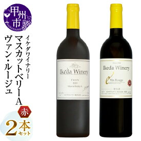 【ふるさと納税】 ワイン 赤 選べる お届け内容 組合せ 2本 セット 750ml イケダワイナリー 赤ワイン フルボディ ミディアム マスカットベリーA グラン・キュヴェ シラー メルロー ヴァン・ルージュ セレクト赤 母の日 父の日 記念日 ギフト 贈答 山梨県 甲州市 （MG）